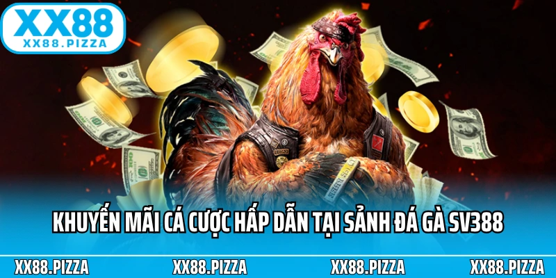 Khuyến mãi cá cược hấp dẫn tại sảnh đá gà SV388